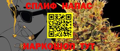 spice Гусиноозёрск