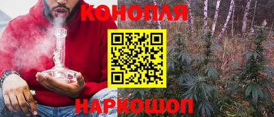 МДПВ Дубна